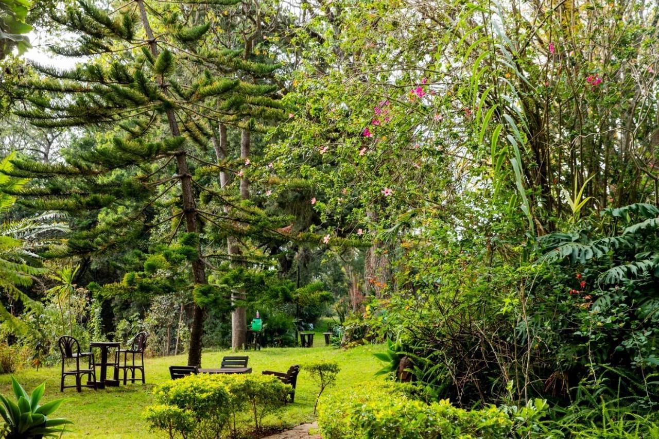 Naro Moru River Lodge Екстер'єр фото